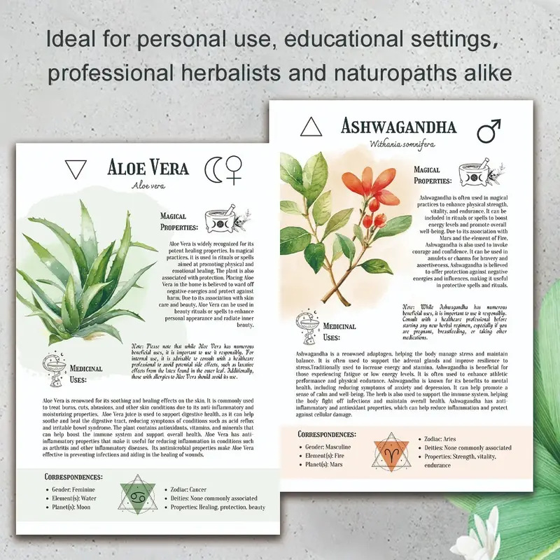Natural Remedies Handbook with - Health & Wellness Therapy Center 리뷰 및 가격