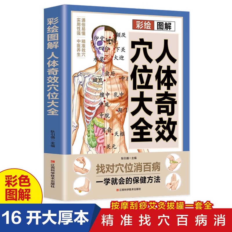 Complete Guide to Acupoint Mas - Health & Wellness Therapy Center 리뷰 및 가격