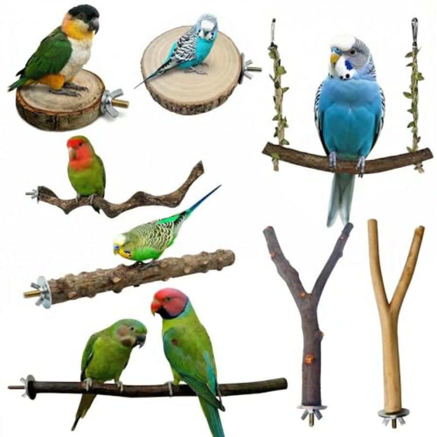 8PCS natural wood bird perches - Health & Wellness Therapy Center 리뷰 및 가격