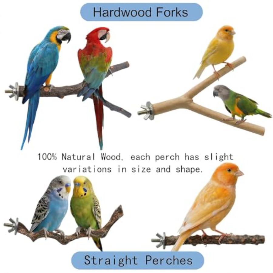 8PCS natural wood bird perches - Health & Wellness Therapy Center 리뷰 및 가격