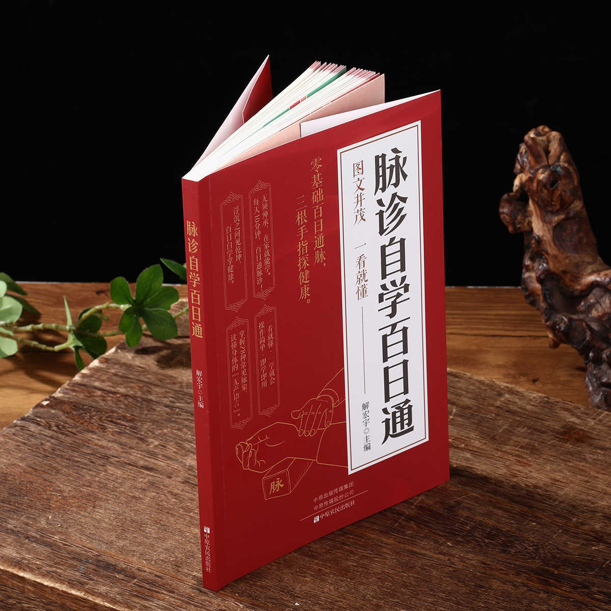 Pulse Diagnosis Self Study Hun - Health & Wellness Therapy Center 리뷰 및 가격